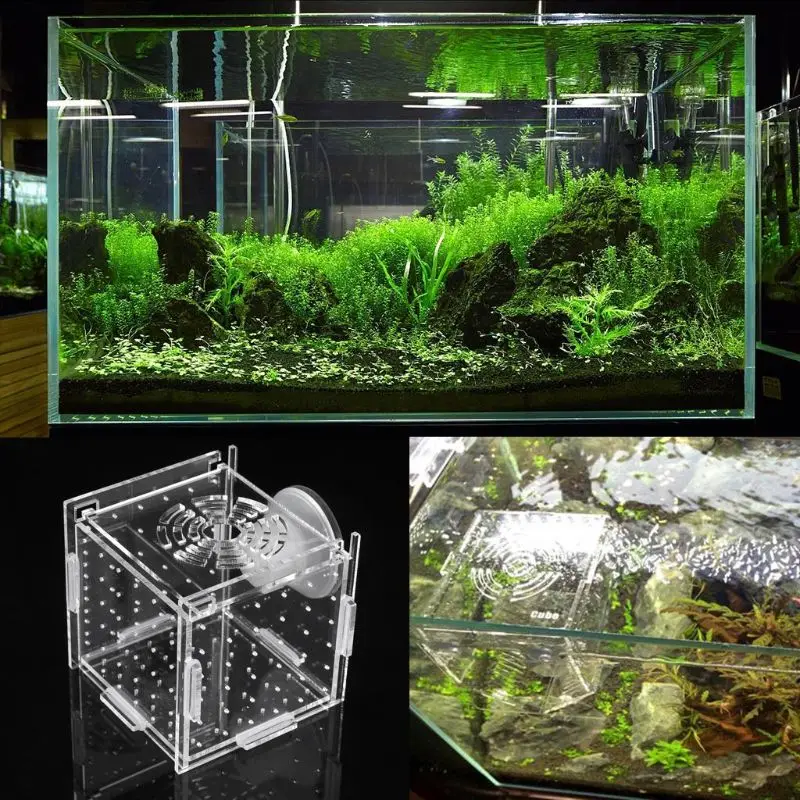 

New Aquarium Acrylic Fish Bowls Tank Breeding Isolation Box With Sucker For Baby Fish Hatchery Rooms Incubator Reptile Cage