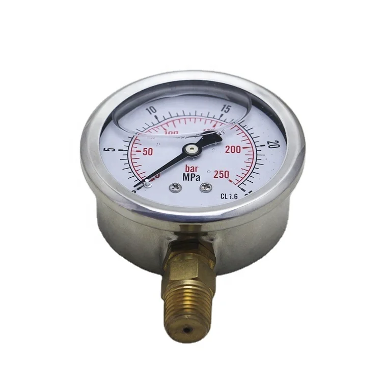 

High quality RIH brand Standard And Oil filled Pressure Gauge