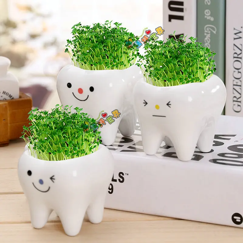 Cute Tooth Pot Vase Creative Ceramic Cartoon Flower Succulent Home Decoration Crafts Dental Clinic Gift Toy | Дом и сад