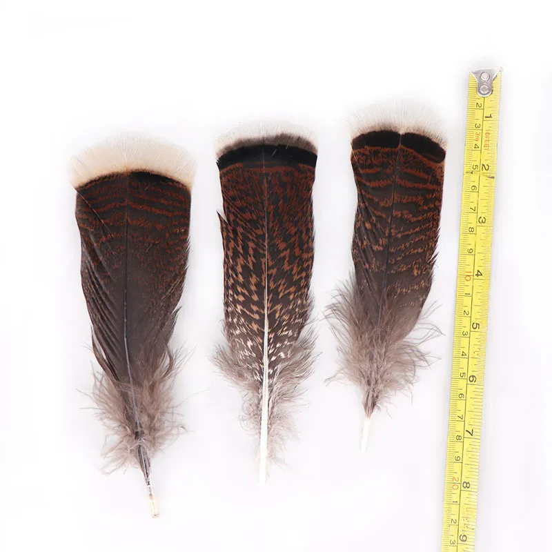 

The New 50pcs/lot Natural Turkey Feathers for Crafts 10-15cmcm/4-6inch Jewelry Carnival Celebration Craft Wedding Plumes Plume