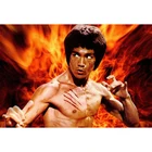 Алмазная 5D картина сделай сам, вышивка крестиком, мозаика китайского кунг-фу, Брюса Ли, домашний декор, YC39