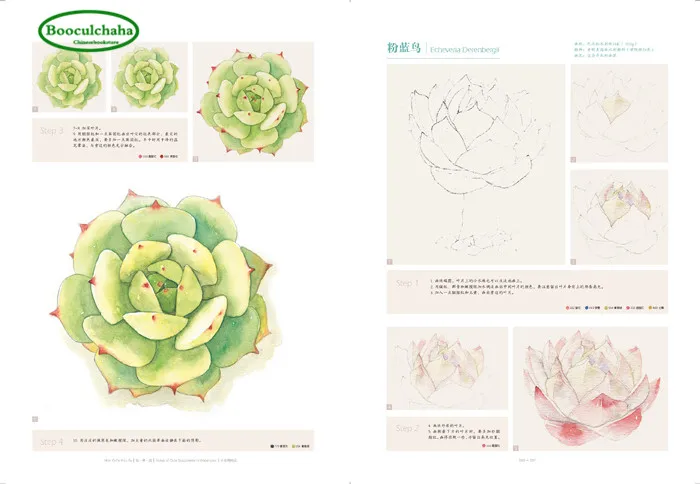 Novice Watercolor technique book :drawing succulent plants Notes of Cute Succulents in | Канцтовары для офиса и дома