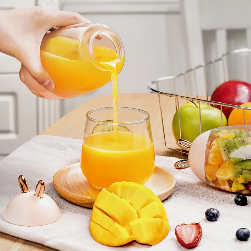 

Garden home decor interior decor Garden home decor interior decoration interior decoration Portable Juicer USB Blend new style