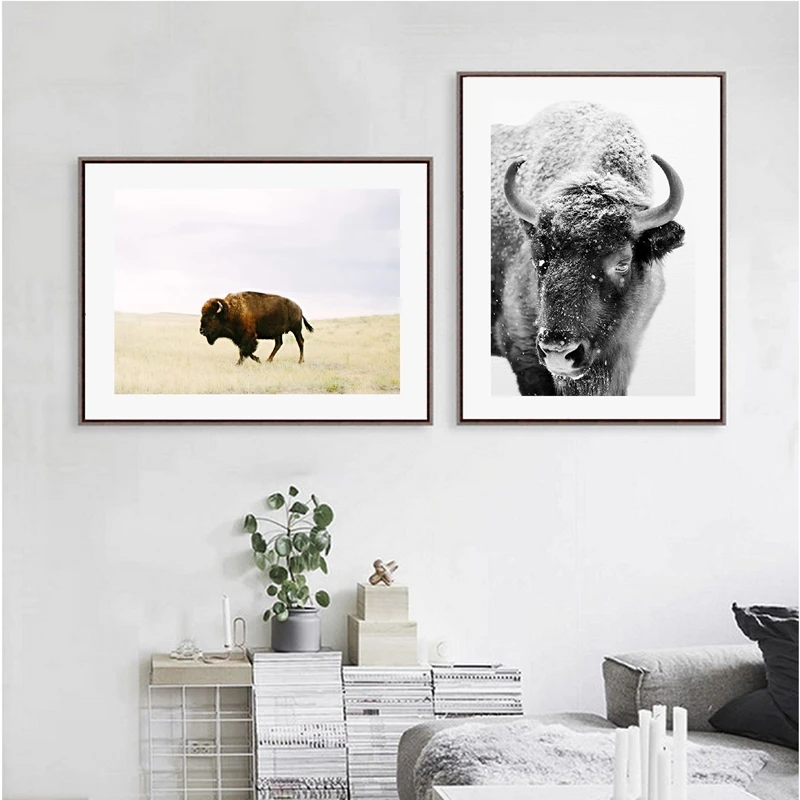 

Buffalo Photo Modern Wall Art Pictures Canvas Print , Winter Animal Bison Photography Canvas Poster Poster Home Room Decor