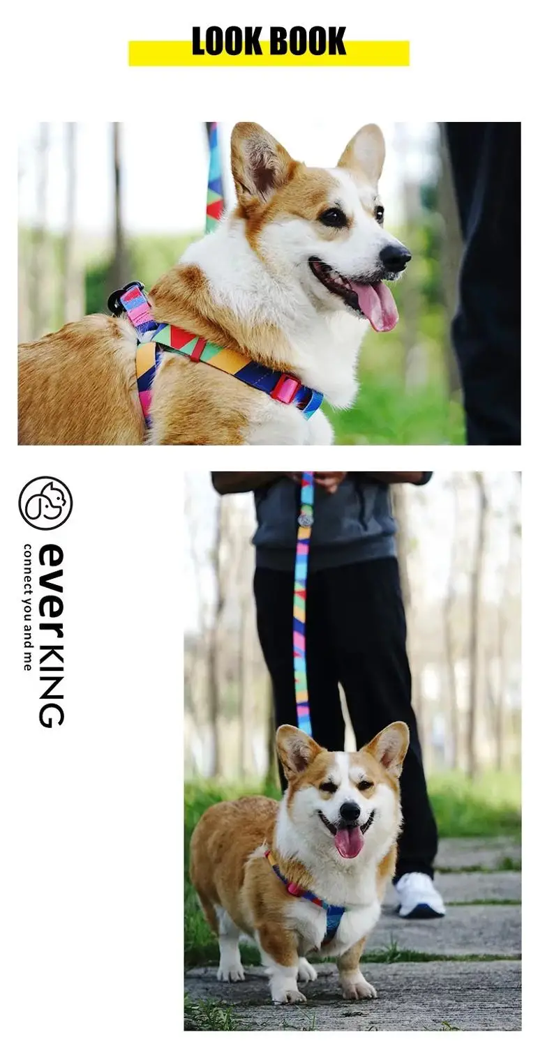 

cute printed design No pull small dog leash and collar set for medium large terrier schnauzer pet dog walking training supplies