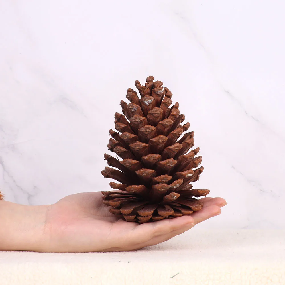 1 шт. Рождественское украшение большие натуральные сосновые конусы Pinecone