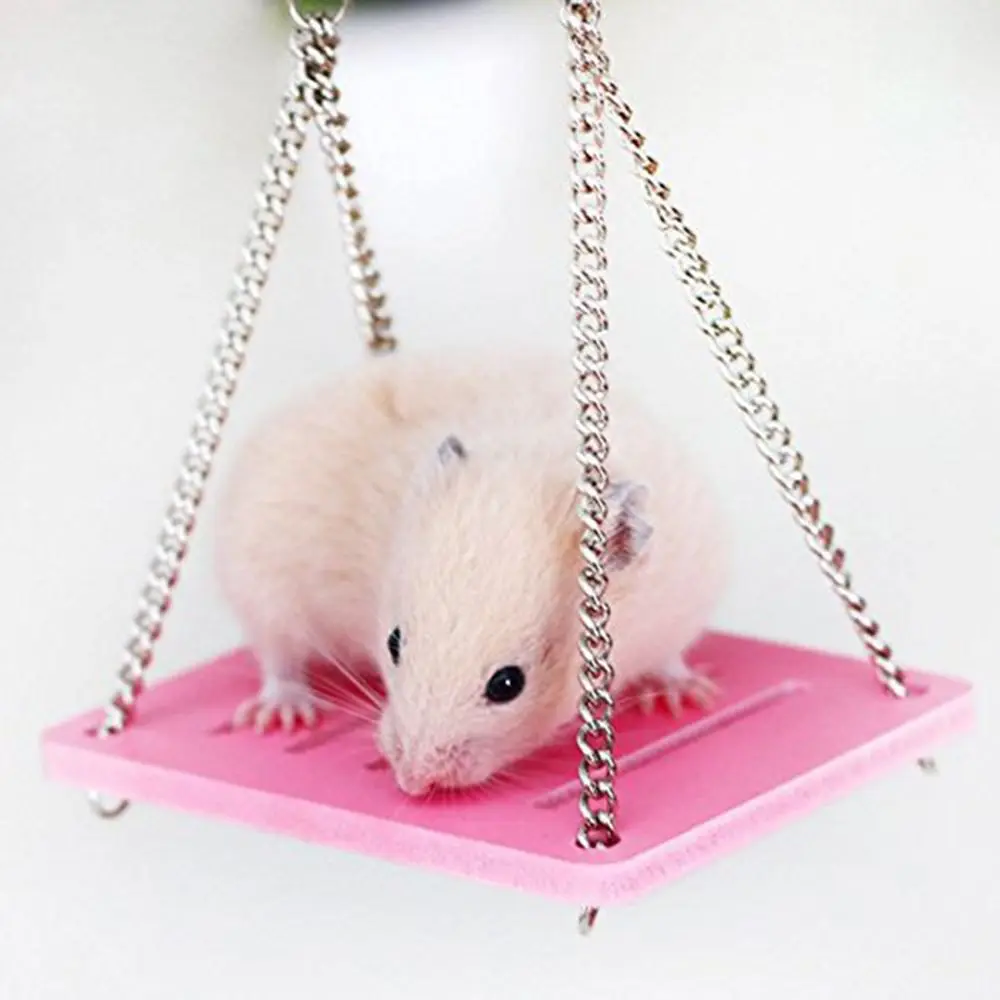 Small Parrot Hamster Swing Hanging Bed Shake Suspension House Props Pet Products Toy Bird Mouse Perch Accessories | Дом и сад