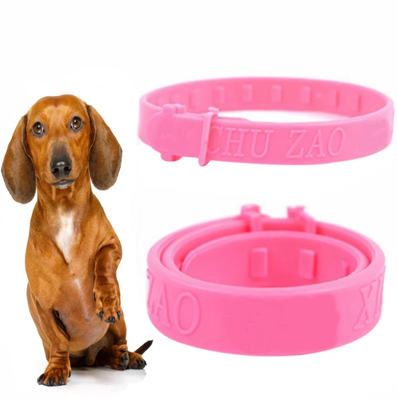 Can Flea And Tick Collars Make Dogs Sick