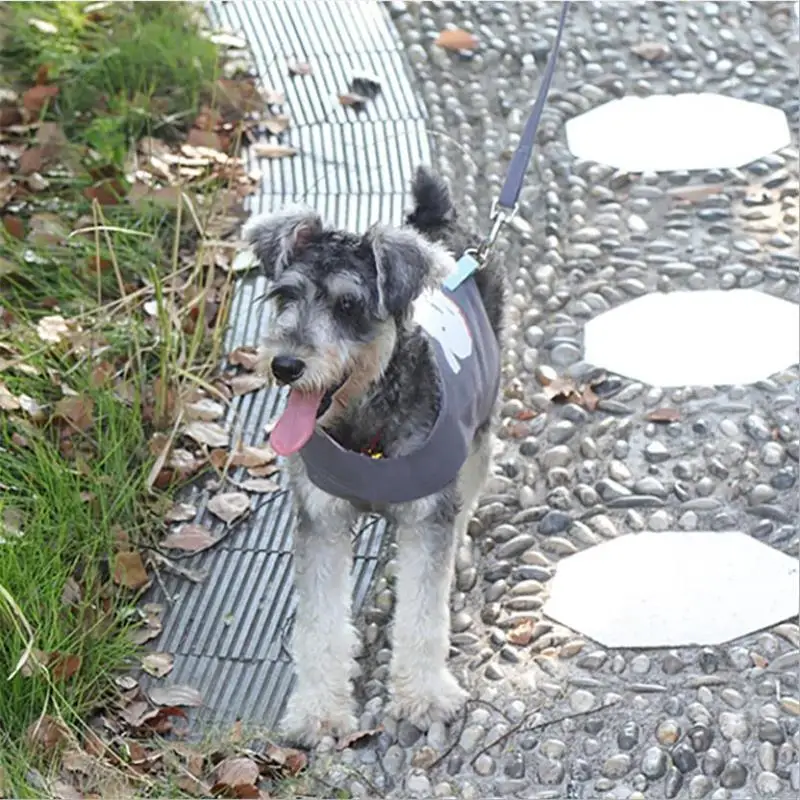 Поводок поводок для собак нагрудный ремень прогулок с собаками|Портупеи| |