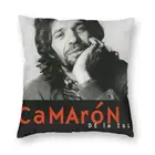 Квадратная наволочка для подушки с изображением креветки, камарона и острова, домашний декор, подушки для певицы-фламенко, декоративная подушка для автомобиля