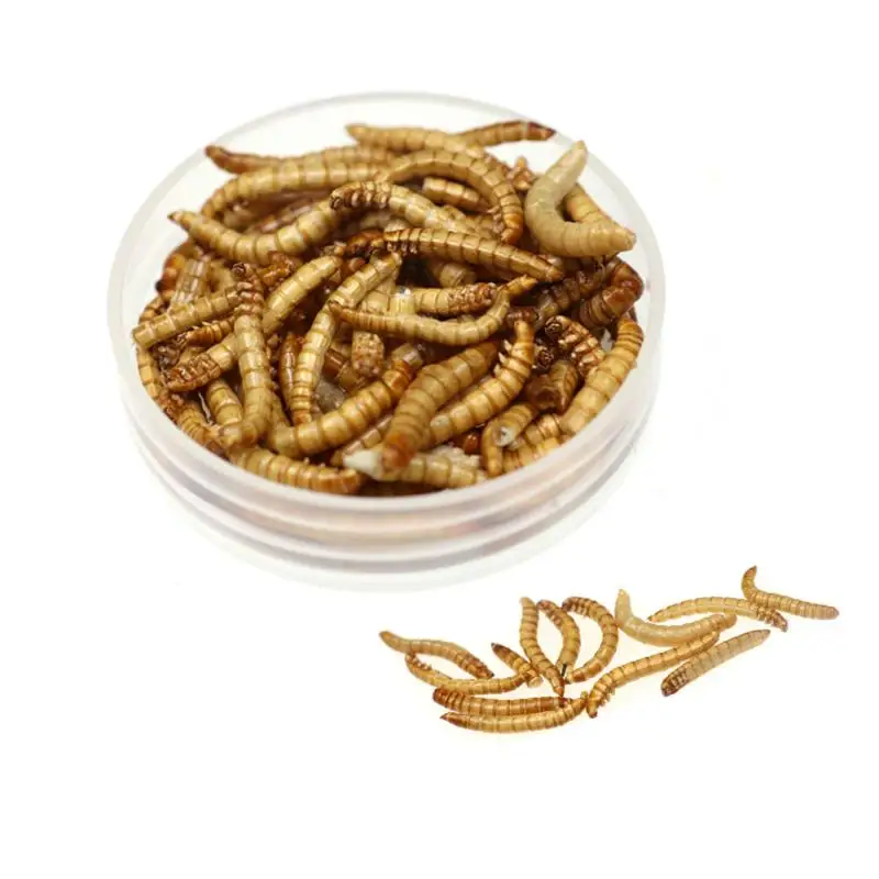 

Natural Dried Mealworm Food Meal For Feeding Pet Reptile Chickens Wild Garden Bird Aquarium Worm