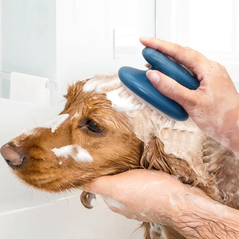 

Hot Household items New House Home Supplies Simple Pet Brush suitable for a variety of scenarios Home Decor Summer Accessories