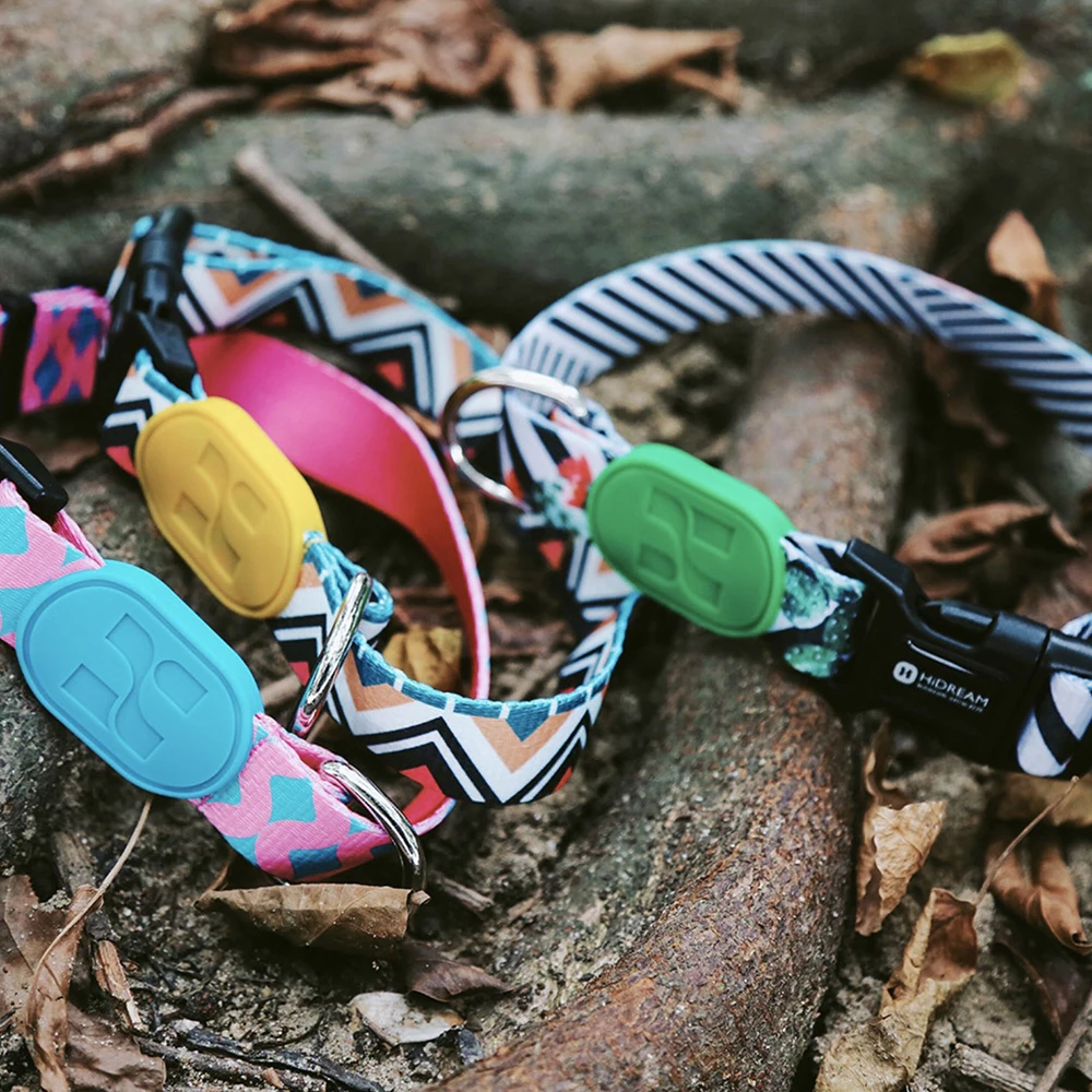 Free Hands Dog Leash Collar Breakaway Quick Release Pet Puppy Big Harness High Quality Colorful Sunshine California Series | Дом и сад