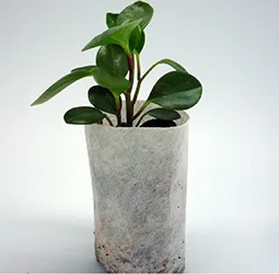 100 штук разложению рассады защиту окружающей среды нетканые пакеты для Садовые