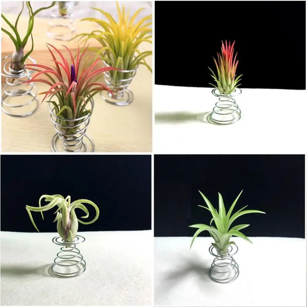 

10Pcs Air Plant Wire Spring Holders Flowerpots Miniature Racks Gardening Decor