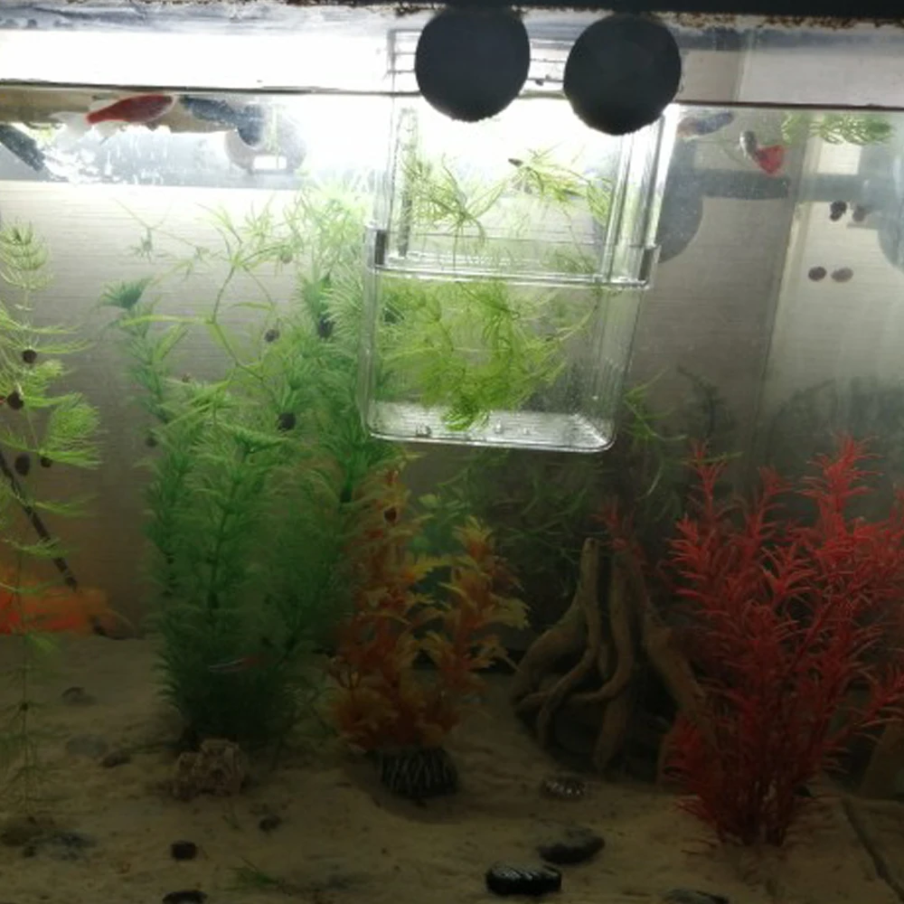 Двухуровневый изоляционный ящик акриловый держатель для инкубатора прозрачный