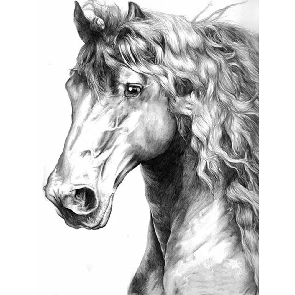 Лошади черно белые рисунки