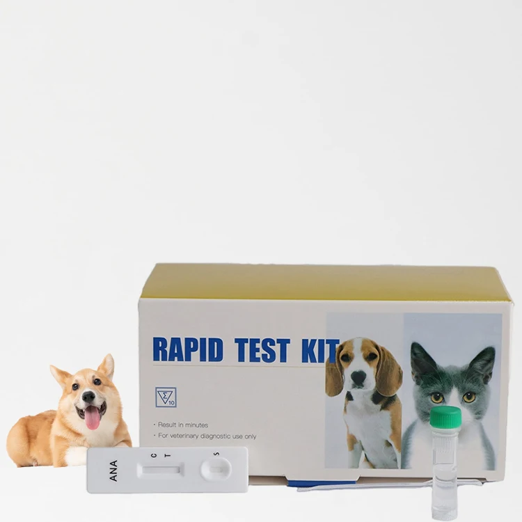 

Vet Quick Diagnostic Dog Canine Anaplasma Antibody Rapid Test Kit