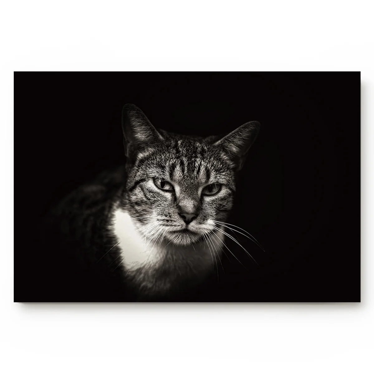 Черно белый нескользящий коврик для ванной аксессуары комнаты напольный ковер