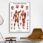 Анализ человеческого тела Акупунктура наука медицина холст картина плакат и печать Настенная картина для гостиной домашний декор