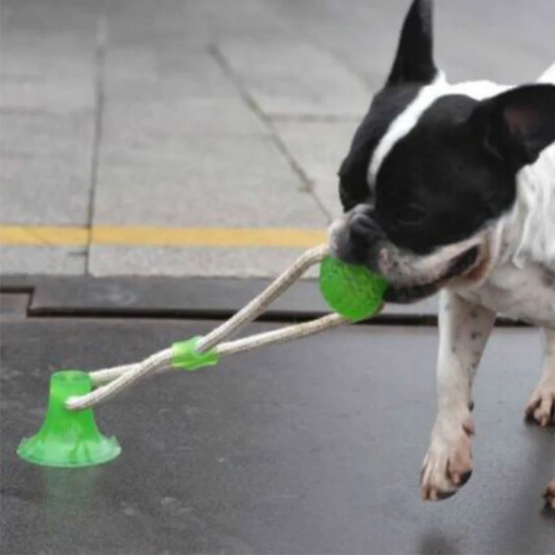 Умные игрушки для домашних животных резиновая жевательная игрушка на присоске