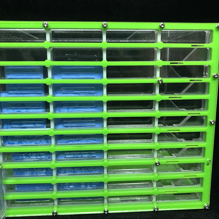 KING SIZE Профессиональный акриловый муравей гнездо большая плоская муравьиная