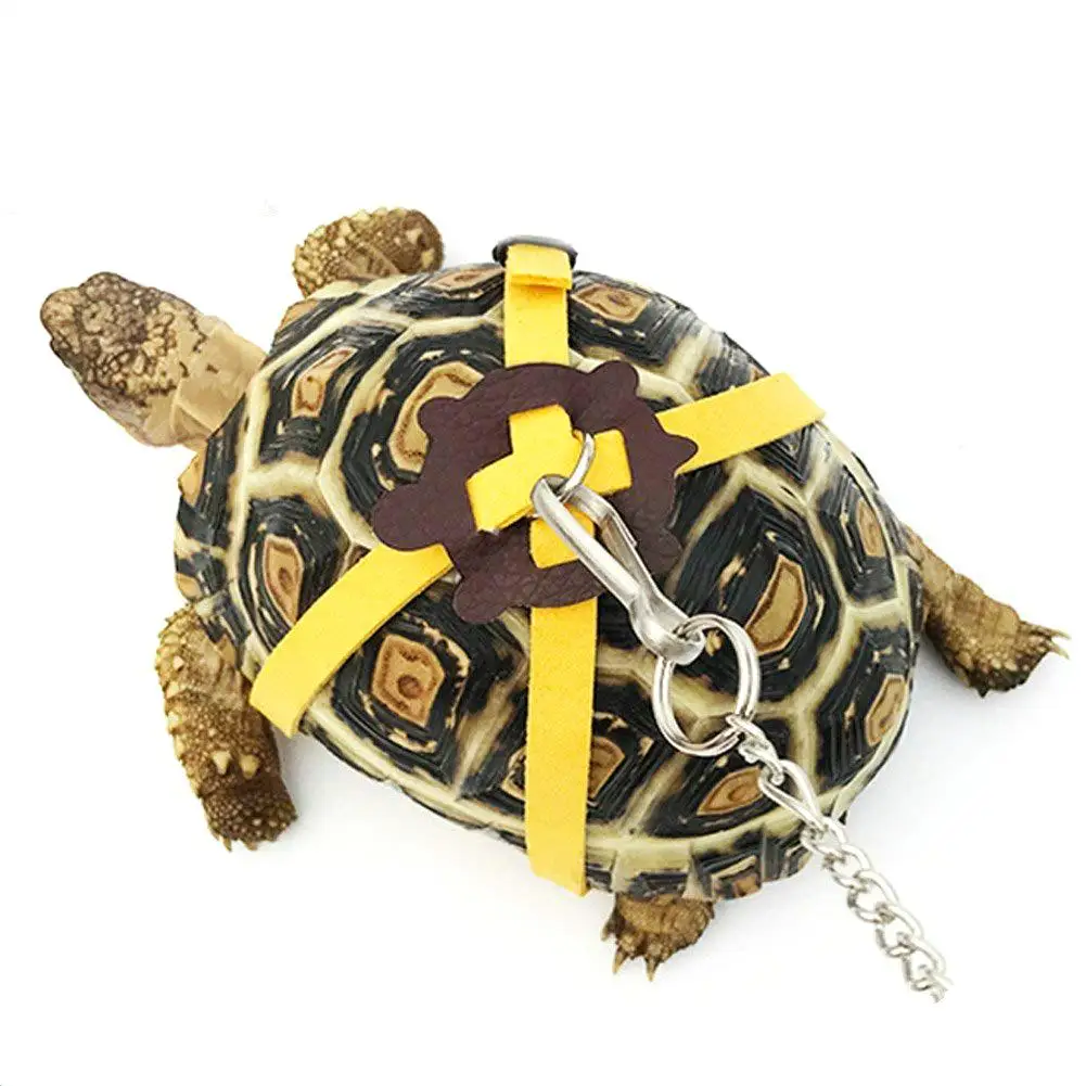 

Pet Training Leash Gerbil Cage Cotton Rope Harness Collar Hamster Turtle Lizard Traction Rope Small Pet Supplies Random Color