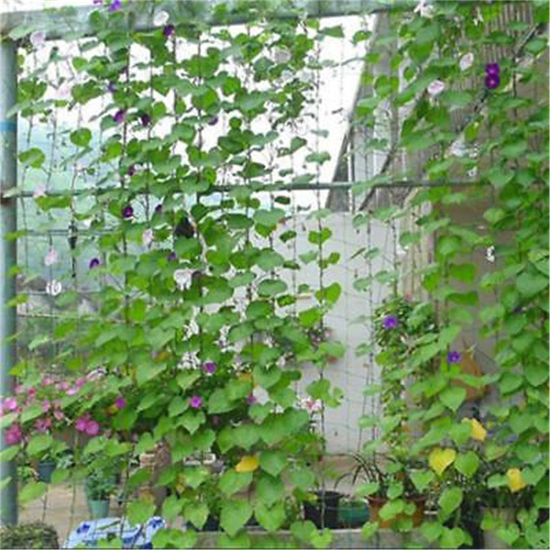 

1pc New Garden Green Nylon Trellis Netting Support 1.8*1.8m Climbing Bean Plant Nets Grow Fence