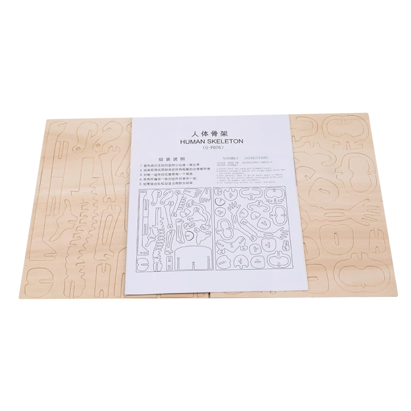 Детский сборный Мужской скелет модель 3D Деревянный пазл игрушка строительный