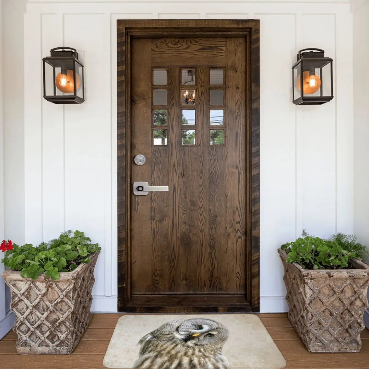 Придверный коврик Сова ковер из полиэстера противоскользящий для украшения пола