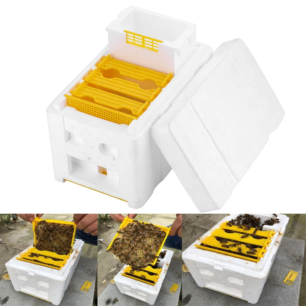 

Bee Hive Beekeeping King Box Pollination Foam Frames Beekeeping Part Kit Harvest Bee Hive Home Hive Case Beekeeper Tools