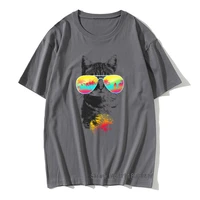 hawaii miami cat breeze beach funny tshirts sunset cat rainbow t shirt men clothes hiphop funky autumn sweater camisetas