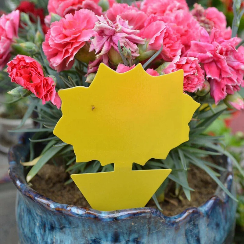 

BMBY-50Pcs Dual-Sided Sticky Fly Trap Paper Yellow Fruit Flies Insect Glue Catcher