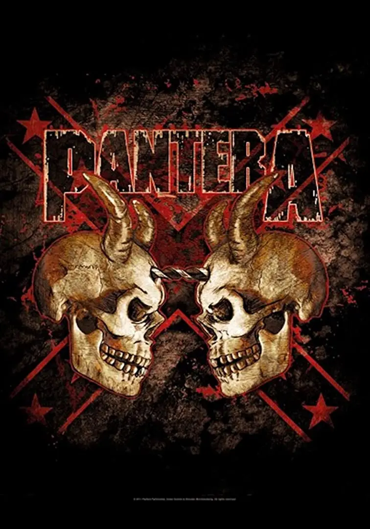 PANTERA DOUBLE SKULLS POSTER FLAG
