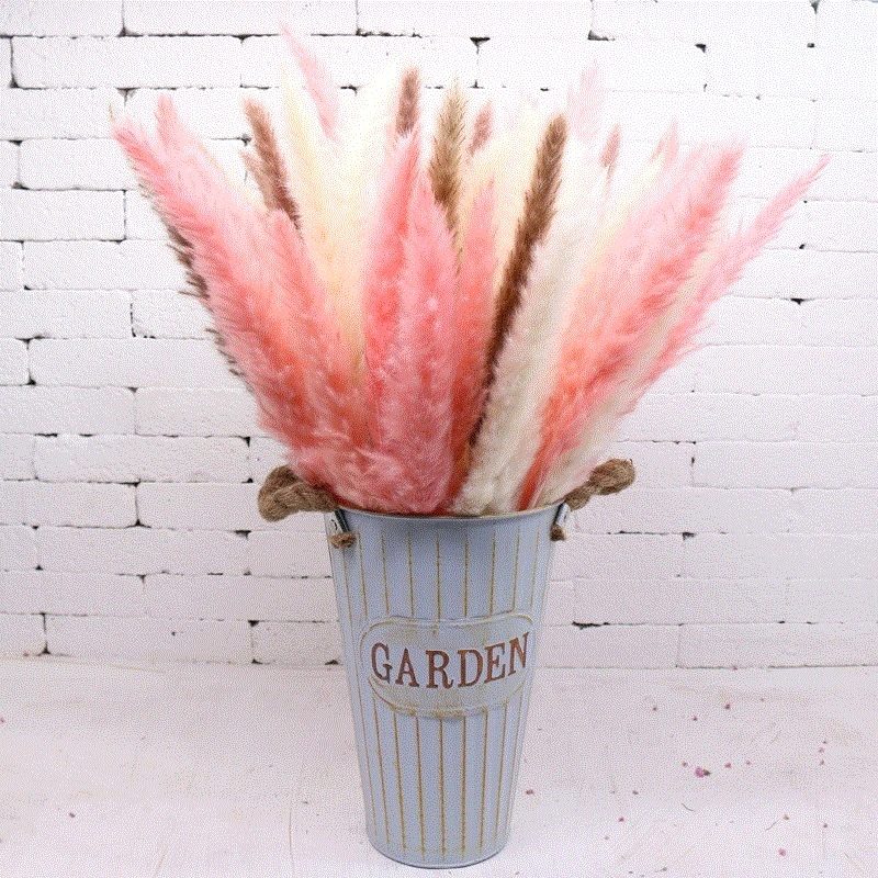 Бутик большие сухие цветы тростника Тростниковое сено сухое цветочное украшение