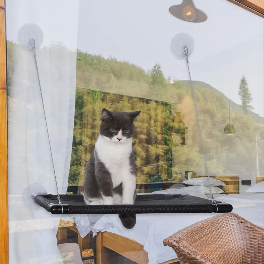 Домашнее животное кошка гамак окно кровать сиденье окунь Экономия пространства