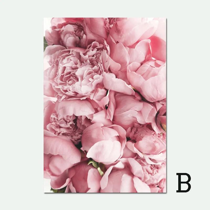 Постер в скандинавском стиле картины с цветами розы настенные художественные