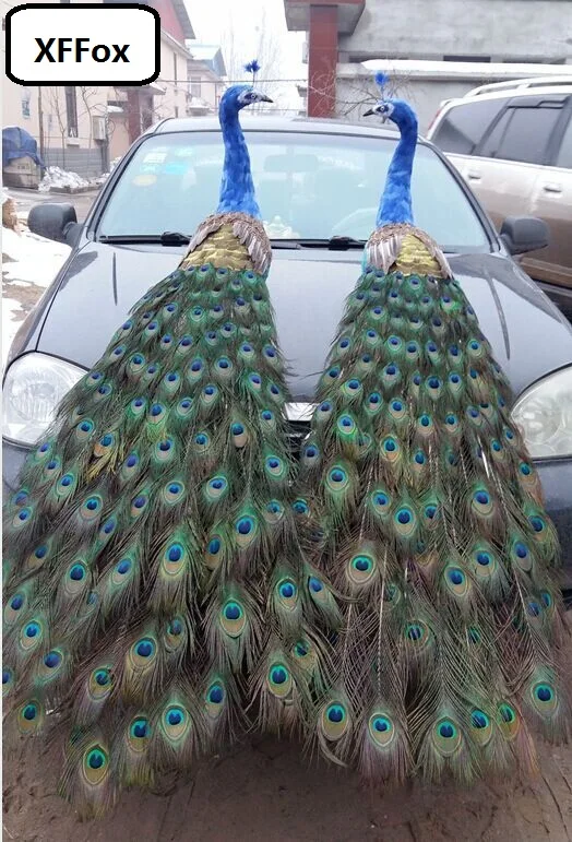 

a pair of huge real life colourful peacock modelsfoam&feather long tail simulation peacock birds gift about 180cm xf2461