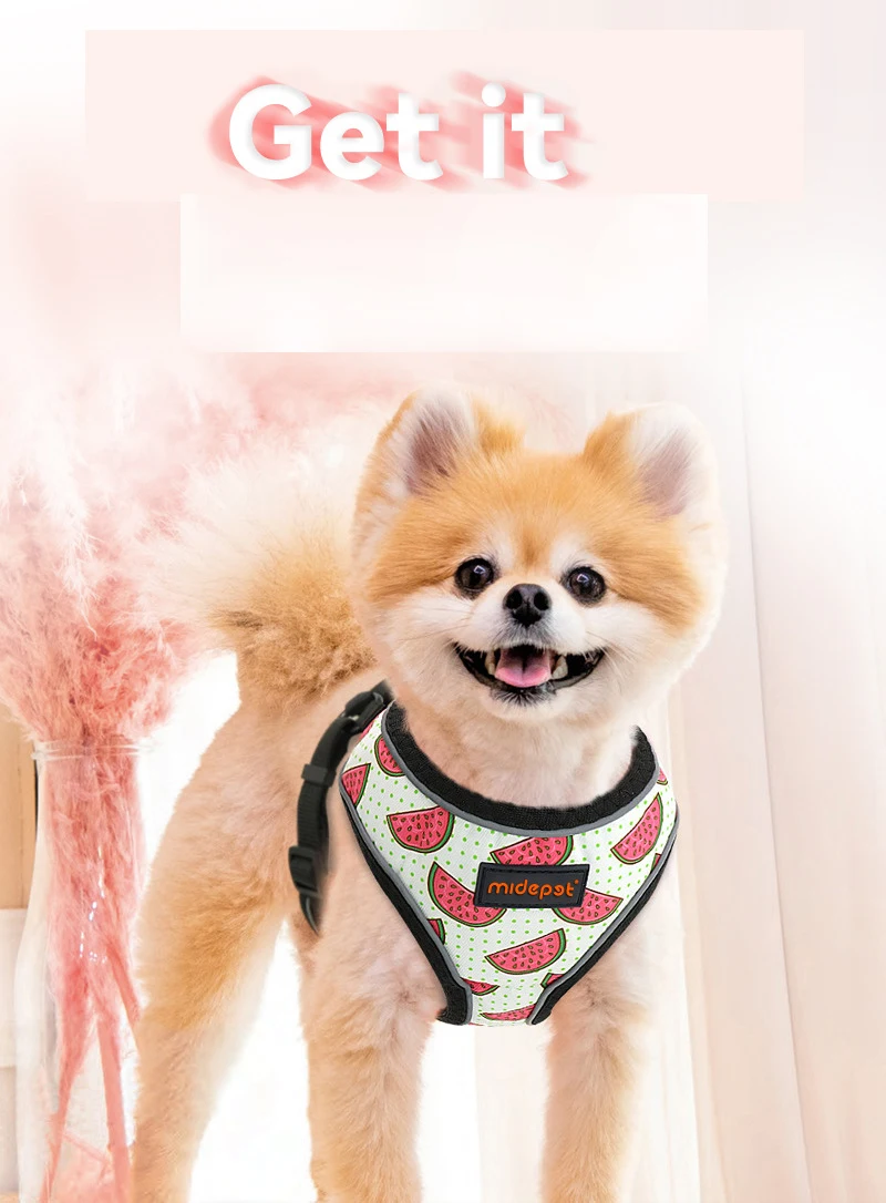

Cute Fruit Small Dog Harness Vest Print Cat Puppy Harness Mesh Reflective Harness for Small Dogs Cat Chihuahua Yorkshire