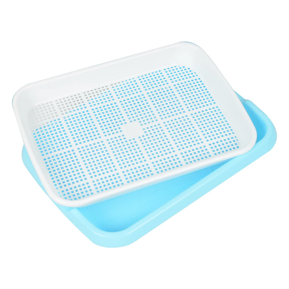 

Plastic Nursery Pots Seed Sprouter Tray PP Soil-Free Big Capacity Wheatgrass Grower Seedling Tray Sprout Plate Hydroponic