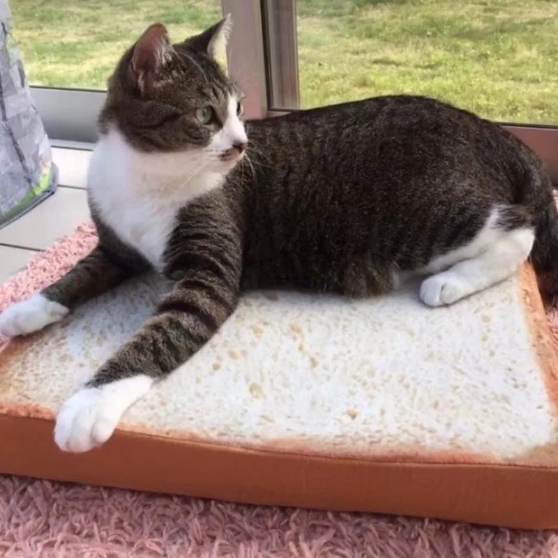 Тост Хлеб кошка подушка Товары для домашних собак кровать коврик мягкая плюшевое