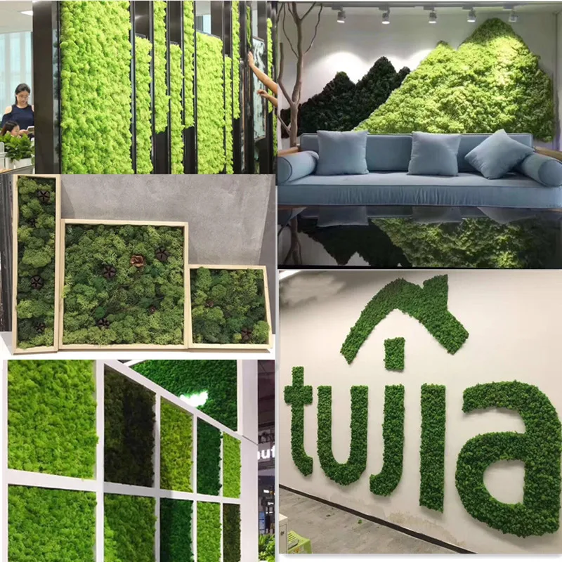 500 г натуральный сохраняющийся мох прочный консервированный цветок северного