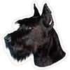 Изображение товара 0