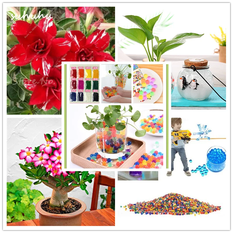 Больше кликов чтобы войти в растение цветы фрукты ВИП-подарок завод Бонсай