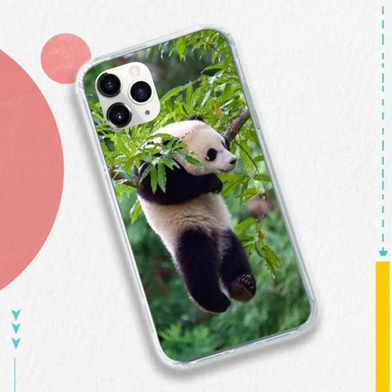 

panda cute funny animal Phone Case for iPhone 11 12 mini pro XS MAX 8 7 6 6S Plus X 5S SE 2020 XR luxury coque funda
