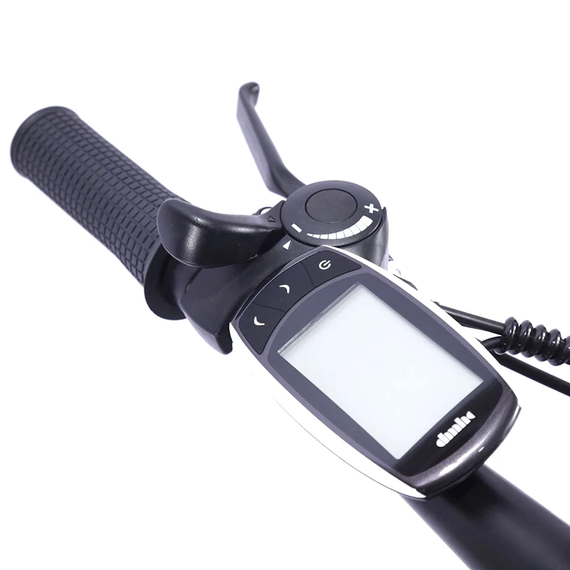 

COOK Adult 26 Inch Spoke Wheel Electric Bike 250W 36V 8AH 21 Speed Mountain Mobility Dirt Bicycle Road Electromobile E-Bike