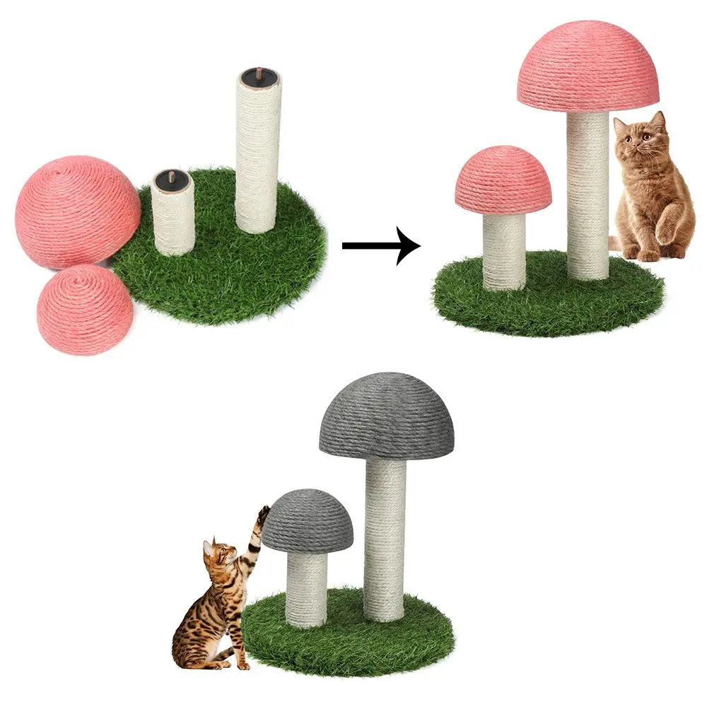 

Pet Products
