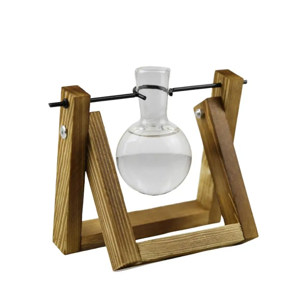 

Transparent Bulb Plant Vase Plant Terrarium With Transparent Vase Plants Live Houseplants Office Desk Accessories Desktop Glass