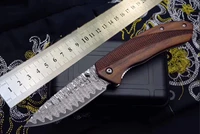 free shipping promotional damascus steel high hardness wooden handle outdoor knife portable small folding knife fruit knife