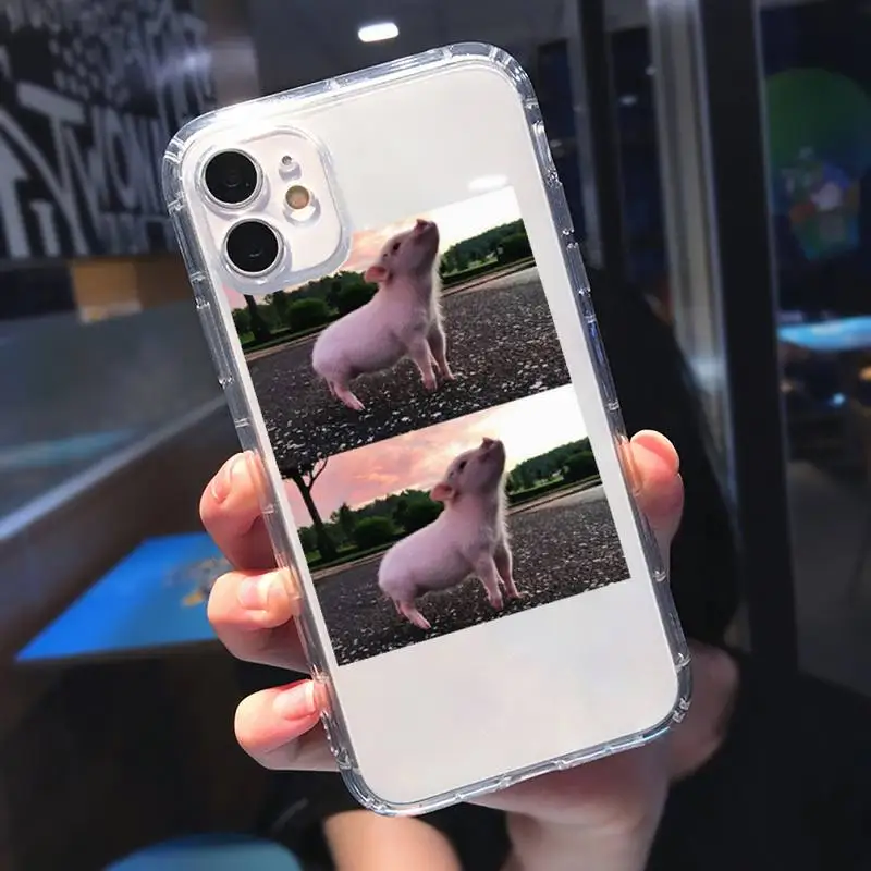 

Pet Cute Little Pig Lovely animal Phone Case Transparent for Clear iPhone 11 12 8 7 6 6S Plus X 5S SE 2020 XR mini pro XS MAX